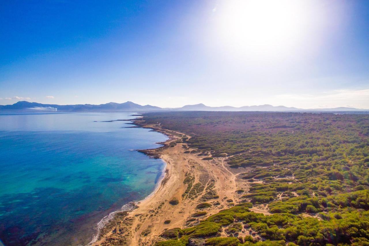 Landhuis Ideal Mallorca - Puig D'en Guardiola